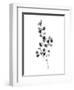 Brume Botanical III-Emma Scarvey-Framed Art Print