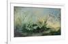 Brume Tropical-Dennis Carney-Framed Art Print