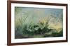 Brume Tropical-Dennis Carney-Framed Art Print