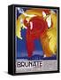 Brunate-Vintage Apple Collection-Framed Stretched Canvas