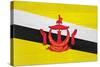 Brunei Flag Design with Wood Patterning - Flags of the World Series-Philippe Hugonnard-Stretched Canvas