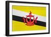 Brunei Flag Design with Wood Patterning - Flags of the World Series-Philippe Hugonnard-Framed Premium Giclee Print