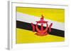 Brunei Flag Design with Wood Patterning - Flags of the World Series-Philippe Hugonnard-Framed Art Print