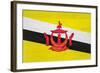 Brunei Flag Design with Wood Patterning - Flags of the World Series-Philippe Hugonnard-Framed Art Print