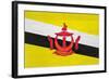 Brunei Flag Design with Wood Patterning - Flags of the World Series-Philippe Hugonnard-Framed Art Print