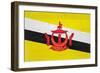 Brunei Flag Design with Wood Patterning - Flags of the World Series-Philippe Hugonnard-Framed Art Print