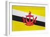 Brunei Flag Design with Wood Patterning - Flags of the World Series-Philippe Hugonnard-Framed Art Print