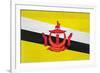 Brunei Flag Design with Wood Patterning - Flags of the World Series-Philippe Hugonnard-Framed Art Print
