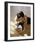 Brunette Stretching-null-Framed Photographic Print