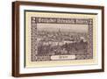 Brown Frame