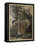Brunnhilde at Cave-Arthur Rackham-Framed Stretched Canvas