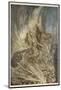 Brunnhilde's End-Arthur Rackham-Mounted Photographic Print