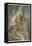 Brunnhilde's End-Arthur Rackham-Framed Stretched Canvas