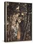 Brunnhilde silently leads horse down path to cave, illustration, 'The Rhinegold and the Valkyrie'-Arthur Rackham-Stretched Canvas