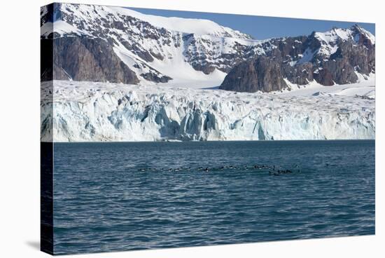 Brunnich's Guillemot (Uria Lomvia) in Front of the Glacier-Thorsten Milse-Stretched Canvas