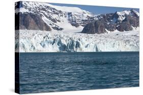 Brunnich's Guillemot (Uria Lomvia) in Front of the Glacier-Thorsten Milse-Stretched Canvas