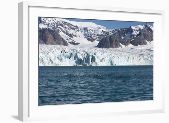 Brunnich's Guillemot (Uria Lomvia) in Front of the Glacier-Thorsten Milse-Framed Photographic Print