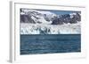 Brunnich's Guillemot (Uria Lomvia) in Front of the Glacier-Thorsten Milse-Framed Photographic Print