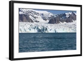 Brunnich's Guillemot (Uria Lomvia) in Front of the Glacier-Thorsten Milse-Framed Photographic Print