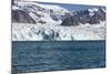 Brunnich's Guillemot (Uria Lomvia) in Front of the Glacier-Thorsten Milse-Mounted Photographic Print