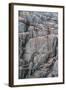 Brunnich's Guillemots and Black-Legged Kittiwakes-G and M Therin-Weise-Framed Photographic Print