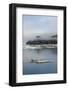 Brunnich's Guillemots (Thick-Billed Murres) (Uria Lomvia)-Gabrielle and Michel Therin-Weise-Framed Photographic Print