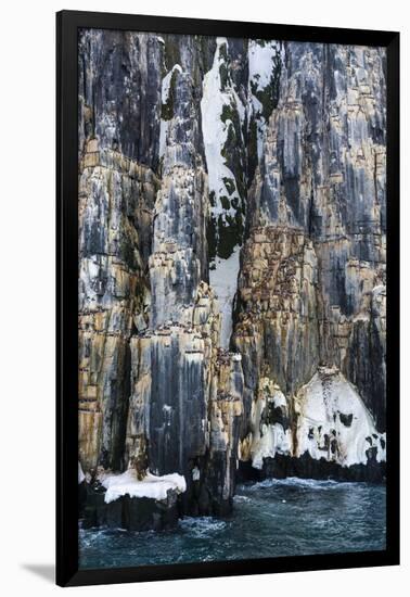 Brunnich's Guillemots (Uria lomvia), Alkefjellet, Spitsbergen, Svalbard Islands, Norway.-Sergio Pitamitz-Framed Photographic Print