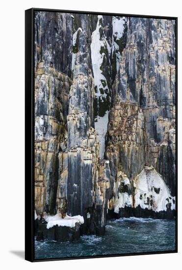 Brunnich's Guillemots (Uria lomvia), Alkefjellet, Spitsbergen, Svalbard Islands, Norway.-Sergio Pitamitz-Framed Stretched Canvas