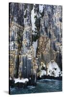 Brunnich's Guillemots (Uria lomvia), Alkefjellet, Spitsbergen, Svalbard Islands, Norway.-Sergio Pitamitz-Stretched Canvas