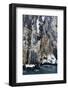 Brunnich's Guillemots (Uria lomvia), Alkefjellet, Spitsbergen, Svalbard Islands, Norway.-Sergio Pitamitz-Framed Photographic Print