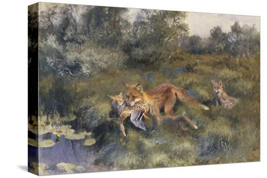 Stretched Canvas Print, , large