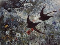 Common Swift, 1886-Bruno Andreas Liljefors-Giclee Print