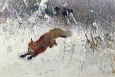Fox Being Chased Through the Snow-Bruno Andreas Liljefors-Giclee Print