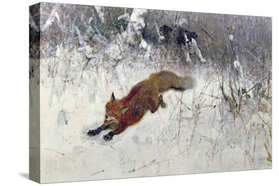 Stretched Canvas Print, , large