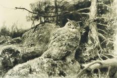 Berguv (Eagle Owl) Bubo Bubo-Bruno Liljefors-Giclee Print