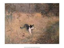 Cat Hunting, 1883-Bruno Liljefors-Art Print