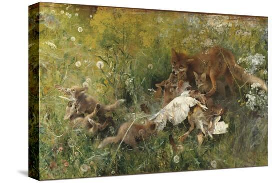 Stretched Canvas Print, , large