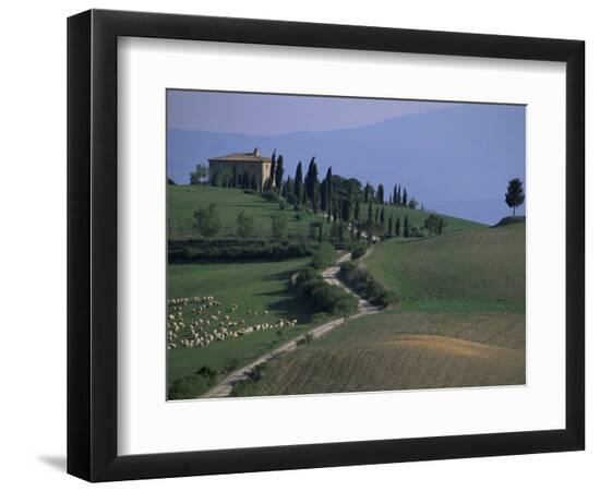 Premium Photographic Print, , large