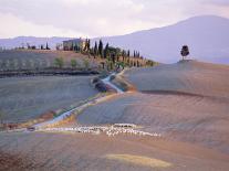 Landscape Near Pienza, Siena Province, Tuscany, Italy-Bruno Morandi-Photographic Print