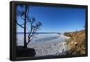Essential Black