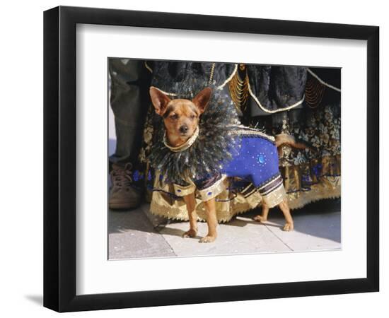 Photographic Print, , large