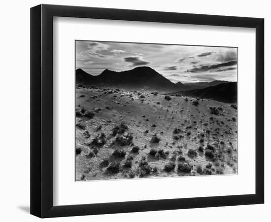 Brush and Mountains, Desert Landscape, c.1960-Brett Weston-Framed Photographic Print