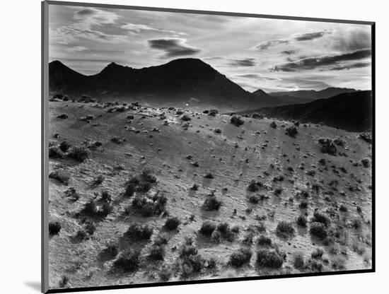 Brush and Mountains, Desert Landscape, c.1960-Brett Weston-Mounted Photographic Print