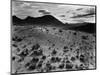 Brush and Mountains, Desert Landscape, c.1960-Brett Weston-Mounted Photographic Print