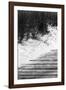 Brush Sand Wood-Jeff Pica-Framed Photographic Print