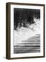 Brush Sand Wood-Jeff Pica-Framed Photographic Print