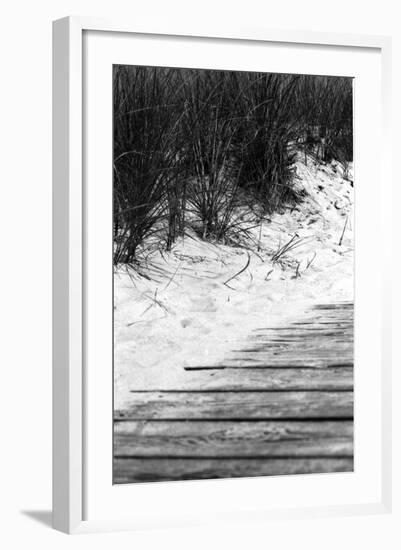 Brush Sand Wood-Jeff Pica-Framed Photographic Print