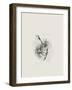 Brush Splatters #2-Imaginative-Framed Photographic Print