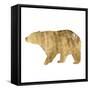 Brushed Gold Animals II-Grace Popp-Framed Stretched Canvas