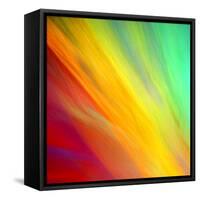 Brushfire I-Douglas Taylor-Framed Stretched Canvas